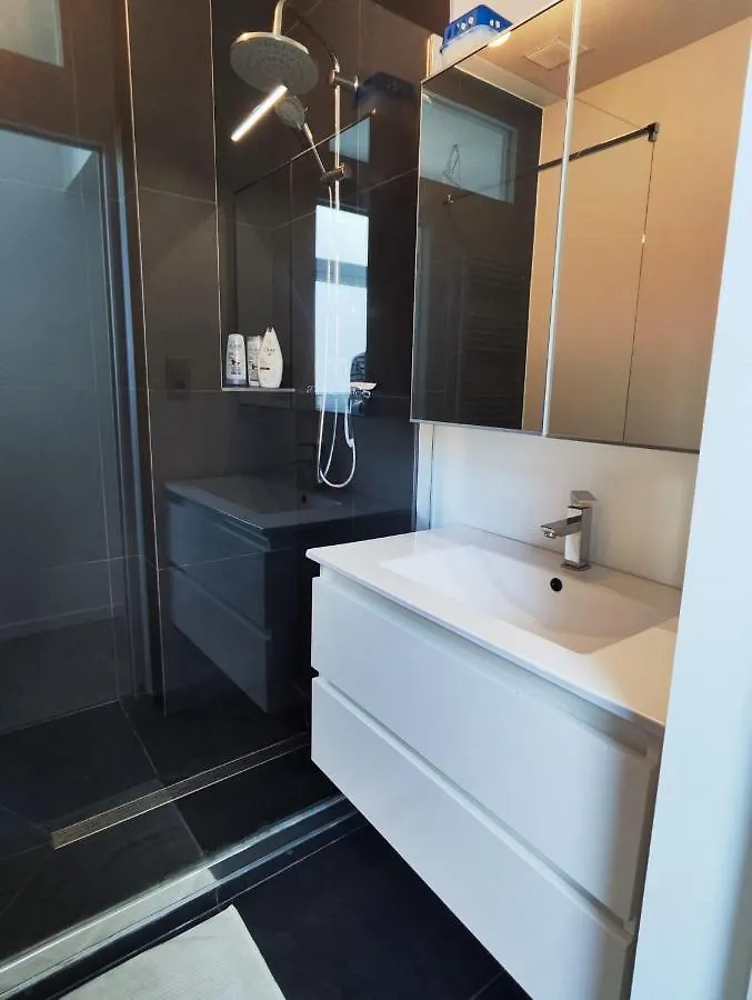 Gezellig Appartement Op Het Bruisende Zuid. Antwerpen België